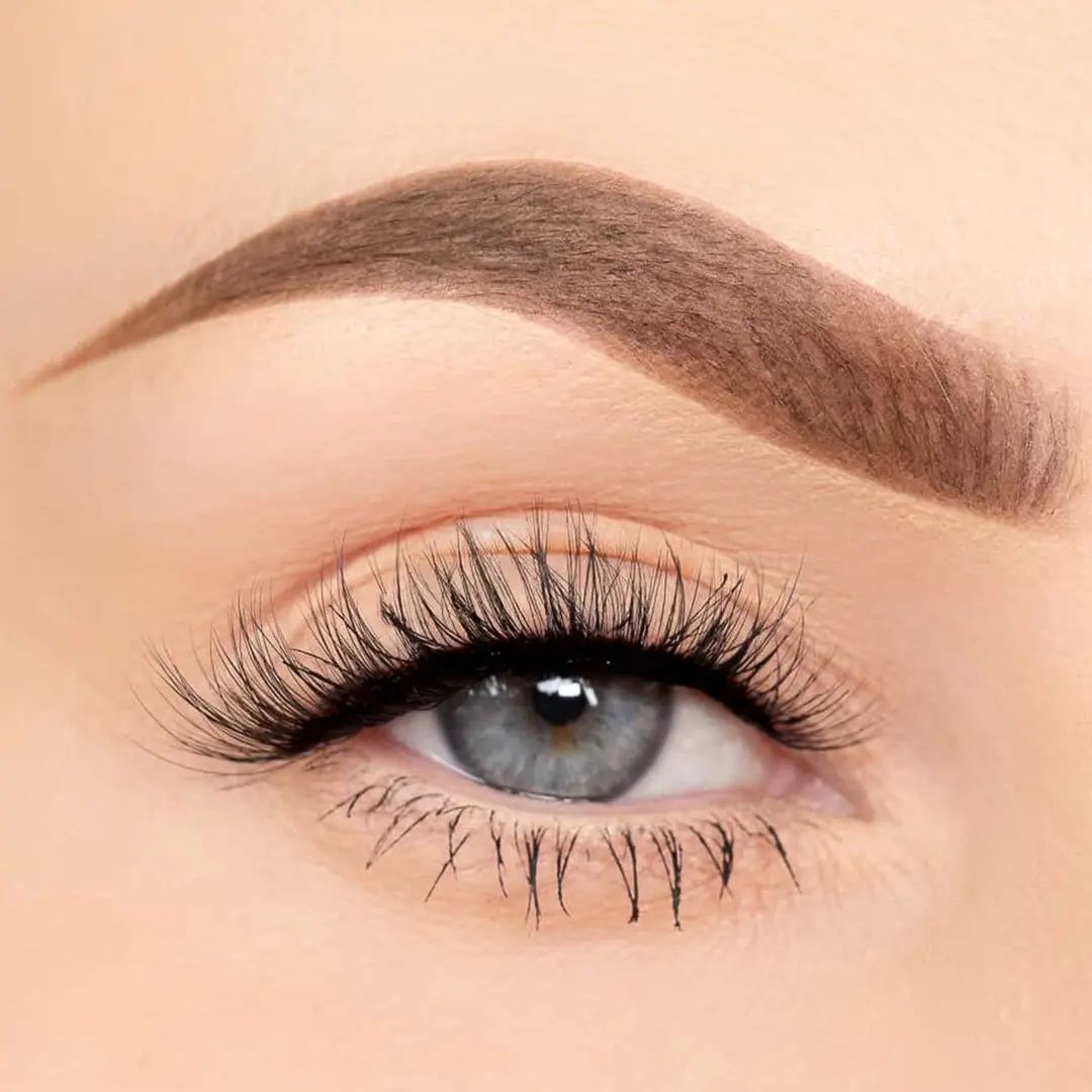 Daydream - Wyld Chics